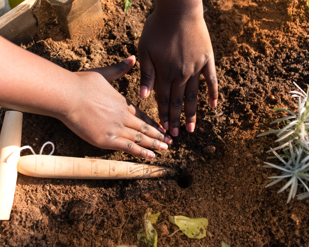 Two children's hands patting the soil in a garden.