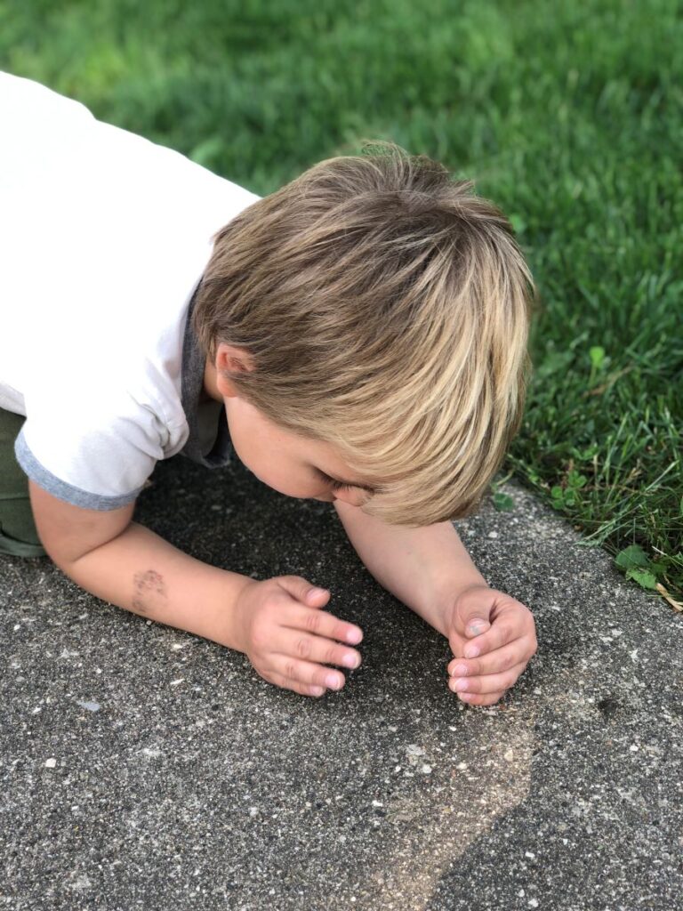 Young boy kneeling on the sidewalk using hands to catch a bug.