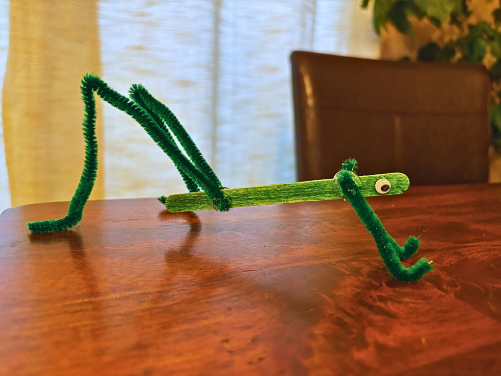 Green grasshopper craft made from popsicle stick and pipe cleaners